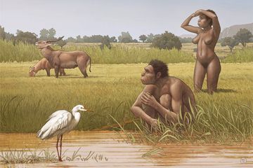 Homo bodoensis, nenek moyang langsung manusia modern yang hidup di Afrika selama Pleistosen tengah.