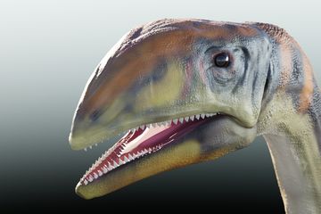 Paleontolog Temukan Spesies Dinosaurus Pertama yang Hidup di Greenland