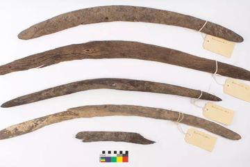 Suku Aborigin membuat bumerang dari kayu antara tahun 1650 dan 1830.