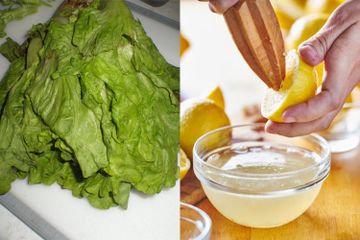 Kasih Tahu Pembantu Sekarang! Mulai Besok Coba Rendam Sayur yang Sudah Layu dengan Air Perasan Lemon, Hasilnya Pasti Bikin Kaget