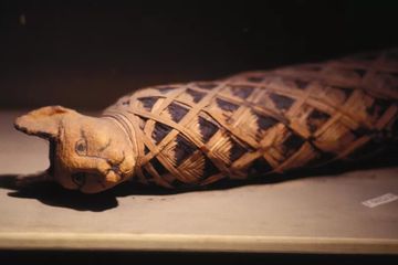Kucing Menjaga Alat Perang Romawi yang Disegani hingga Jadi Mitologi