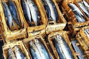 Penggemar Ikan Harus Waspada! Berhenti Beli Ikan Pindang dengan Ciri-ciri Ini, Bahaya yang Mengancam Tidak Main-Main