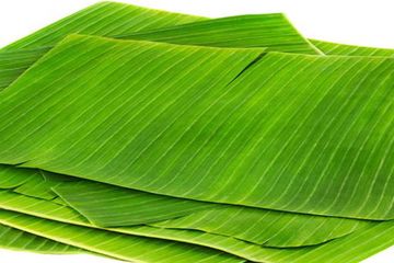 Cuma Rebus Daun Pisang Selama 15 Menit Lalu Minum Airnya Hangat-Hangat, Jangan Kaget Setahun ke Depan Irit Biaya Dokter