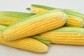 Syukur Banget Tahu Sekarang! Ternyata Orang dengan 2 Kondisi Ini Dilarang Keras Makan Jagung, Harus Nurut Kalau Masih Sayang Nyawa