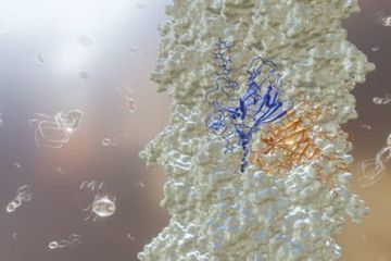 Representasi dari M. villous archaellum yang menyoroti dua subunit bergantian dalam warna biru dan oranye (latar depan) dan sel renang M. villosus (latar belakang).
