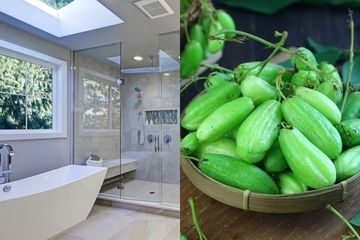 Lebih Ampuh Dari Cairan Pembersih, Coba Gosok Lantai Kamar Mandi dengan Belimbing Wuluh Selama 10 Menit dan Lihat Hasilnya yang Bikin Melongo
