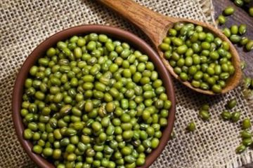 Penderita Diabetes dan Kolesterol Bersorak! Cuma Konsumsi Obat Alami Kacang Hijau, Dua Penyakit Mematikan Dapat Diatasi Sekaligus Tanpa Obat Kimia