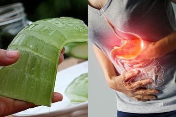 Bisa Gantikan Obat Warung, Maag Kambuh yang Menyiksa Bisa Cepat Jinak Cuma dengan Ramuan dari Lidah Buaya ini, Intip Cara Buatnya!