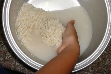 Pantas Jadi Rahasia Panjang Umur! Wanita Ini Cuma Rendam Beras Semalaman Sebelum di Masak, Ternyata Hasilnya Bikin Takjub Ketika Matang