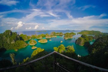 Potensi Wisata Bernilai Jutaan Dolar AS di Laut Sawu dan Raja Ampat