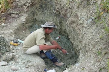 Trevor Worthy, ahli paleontologi di Flinders University sedang melakukan penggalian.