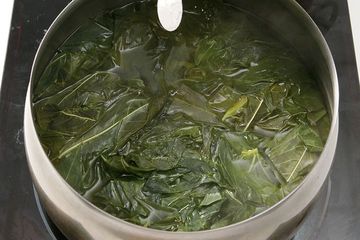 Khasiatnya Sudah Tidak Diragukan Lagi, Tapi Orang Dengan Kondisi Ini STOP Minum Air Rebusan Daun Singkong Sekarang Juga, Bisa Datangkan Petaka