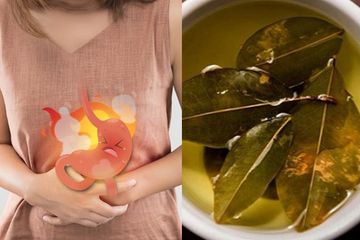 Capek Tahan Sakit tapi Minum Obat Gak Juga Sembuh? Coba deh Redakan Asam Lambung dengan Air Rebusan Daun Salam Dicampur 1 Bahan Ini, Ampuh Banget