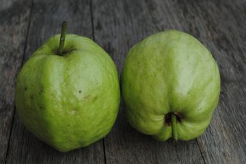 manfaat jambu kristal