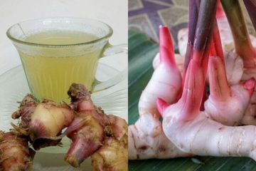 Heran Puskesmas Selalu Sepi, Ternyata Rahasia Sehat Sekampung Cuma Minum Air Rebusan Lengkuas, Sederet Penyakit Mematikan Ini Auto Kandas