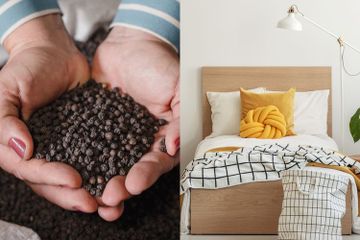Mulai Malam ini, Coba Sebar Merica Di Bawah Kasur, Besok Pagi Pasti Jadi Susah Bangun Saking Nikmatnya Kamar Tidur, Kok Bisa?