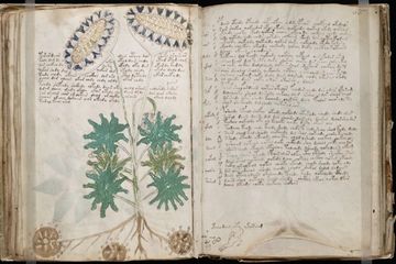 Manuskrip Voynich telah diberi penanggalan karbon hingga pertengahan abad ke-15.