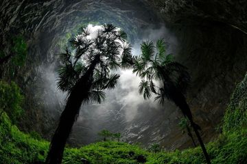 Lubang runtuhan atau sinkhole dengan hutan di dalamnya.