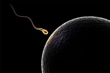 Dari 200 Juta, Mengapa Hanya 1 Sperma yang Dapat Membuahi Sel Telur ?