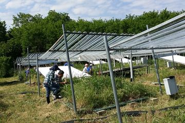 Para peneliti dari Institute for Environmental Genomics di University of Oklahoma sedang menyelidiki keanekaragaman tumbuhan dan mengambil sampel untuk analisis keanekaragaman mikroba.