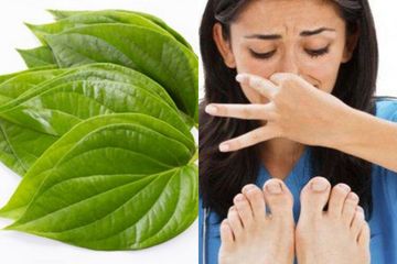 Bertahun-tahun Malu Gegara Bau Kaki, Tahunya Bisa Hilang Pakai Daun Sirih, Begini Caranya Kalau Mau Coba
