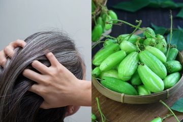 Rambut Bakal Hitam Lagi Kayak Waktu Muda, Uban Ternyata Bisa Sirna dalam Waktu Singkat dengan Belimbing Wuluh Dicampur Madu, Caranya Gampang Banget!