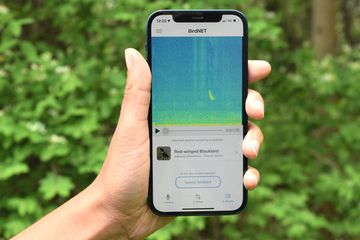 Para peneliti berharap aplikasi BirdNET dan proyek serupa akan membuka peluang baru untuk penelitian dan konservasi burung.