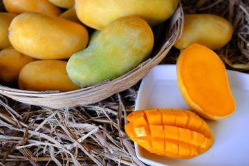Mulai Malam Ini, Coba Makan Mangga Sebelum Tidur, Jangan Kaget Kalau Besok Paginya Badan Jadi Ogah Beranjak Dari Kasur