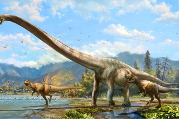 Impresi seniman dinosaurus sauropoda yang dikejar oleh dua dinosaurus karnivora.