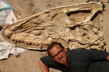 Thalassotitan atrox, Mosasaurus Pemuncak Rantai Makanan Dari Maroko