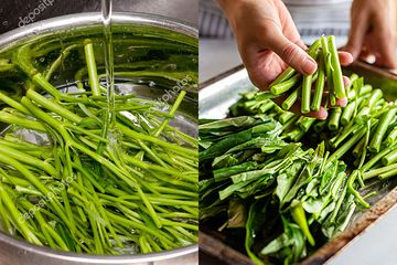 Cuma Emak-emak Pintar yang Tahu! Ternyata Begini Cara Cuci Kangkung yang Paling Benar, Kalau Salah Bisa Bahayakan Nyawa Seisi Rumah