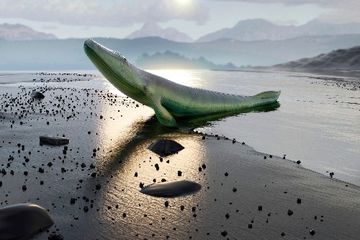 Impresi seniman tentang Tetrapoda awal. Hewan darat paling awal memiliki lebih sedikit tulang tengkorak daripada ikan.