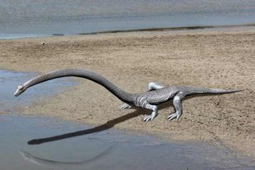 Rekonstruksi Tanystropheus longobardicus berdasarkan bukti fosil. 
