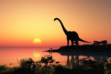 Hari-hari lebih pendek selama masa dinosaurus. 