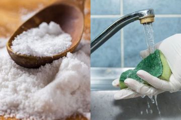 Keisengan Membawa Berkah! Cukup Tabur 3 Jumput Garam ke Spons Cuci Piring Selama 10 Menit, Hasil Menakjubkan Langsung Terjadi