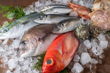 Hentikan Sebelum Jadi Petaka! Makan Ikan Saat Sedang Alami Kondisi Ini Ternyata Bisa Sangat Membahayakan Kesehatan, Hati-Hati