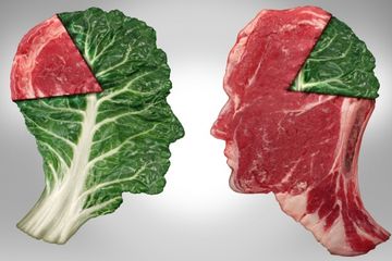 Peluang vegetarian memiliki umur panjang dikarenakan protein yang terkandung dalam sayuran lebih menyehatkan dari protein yang ada di produk hewani.