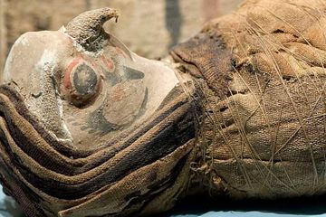 Mumi Elang Tanpa Kepala di Mesir Mengungkap Ritual Kuno Zaman Romawi