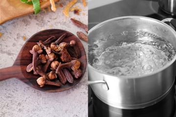 Rebus 5 Butir Cengkeh dan Minum Airnya Hangat-Hangat, Ternyata Bisa Buat Kita Hemat Biaya ke Dokter