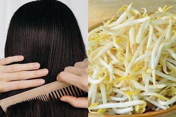 Solusi Rambut Hitam Legam Sampai Tua, Ternyata Hilangkan Uban Cuma Moda Taoge Mentah! Begini Caranya