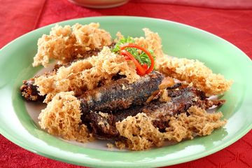Resep Bekal Sekolah : Resep Sarden Kremes, Sajian Sedap yang Cukup Mudah Dibuat