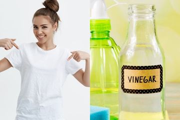 Pakai Jasa Laundry Belum Tentu Bisa! Baju Putih yang Kumal Bisa Jadi Cerah Bersinar Lagi dengan Cuka, Begini Nih Caranya