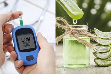 Minum Obat Belum Tentu Ada Hasil, Gula Darah Turun Hanya dengan Lidah Buaya, Praktis Banget Cara Bikinnya