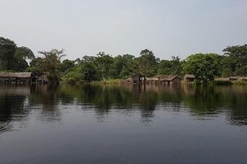 Penelitian baru mengungkapkan bahwa lahan gambut tropis terbesar di dunia berubah dari penyimpan utama karbon menjadi sumber emisi karbon dioksida yang merusak akibat perubahan iklim ribuan tahun yang lalu.