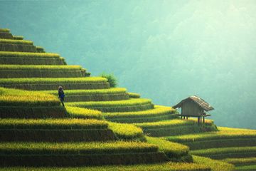 Kunci jawaban materi IPAS kelas 5 SD, Kurikulum Merdeka, inilah potensi-potensi Indonesia yang bisa dikembangkan sebagai negara agraris.