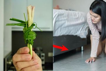 Rugi Selama ini Gak Coba, Ikat 1 Batang Serai Lalu Simpan di Bawah Kasur Sebelum Tidur, Pagi-pagi Langsung Full Senyum Rasakan Perubahan ini Semalaman