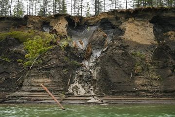 Virus 'Zombie' Telah Dihidupkan Kembali dari Permafrost Siberia