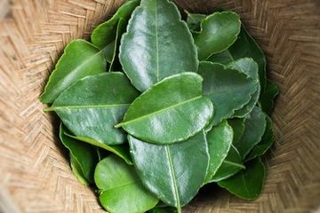 Gak Percuma Beli Banyak, Begini Tips Menyimpan Daun Jeruk Agar Tidak Kering, Bisa Awet Sampai Lebaran Kalau Tiru 3 Cara ini