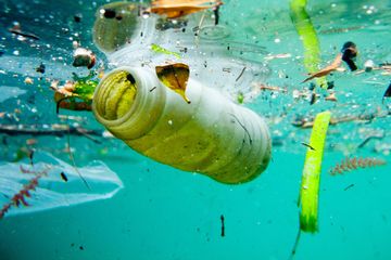 Ilmuwan Mengubah Sampah Plastik di Laut Menjadi Bahan Industri Obat