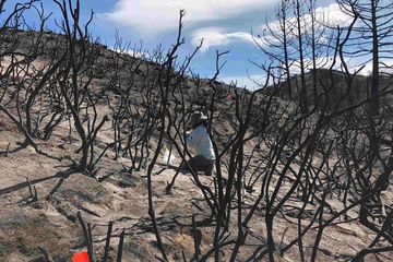 Peneliti UC Riverside mengambil sampel tanah bekas kebakaran hutan untuk dianalisis.